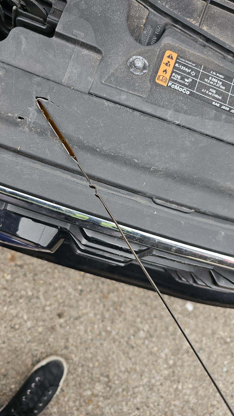 2025 Ford Escape Hybrid ST-Line Elite AWD