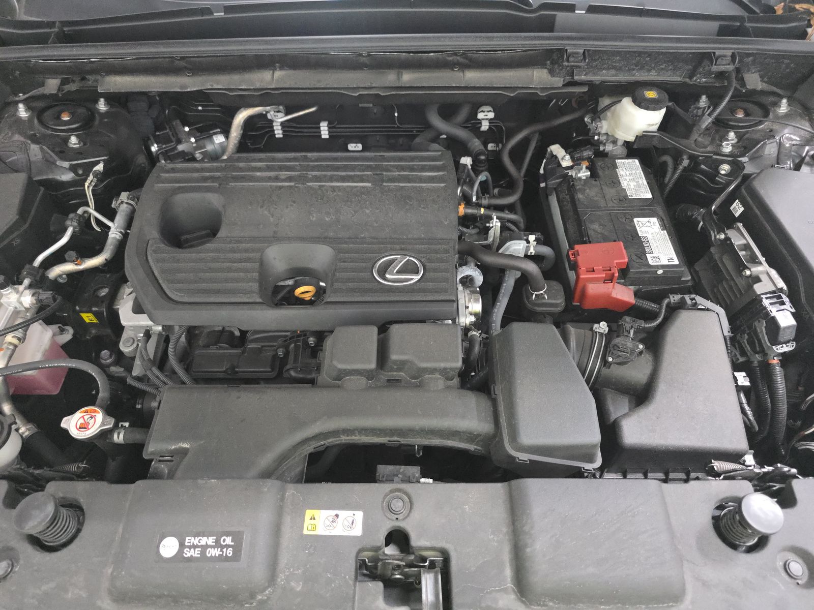 2025 Lexus NX NX 250 Premium FWD