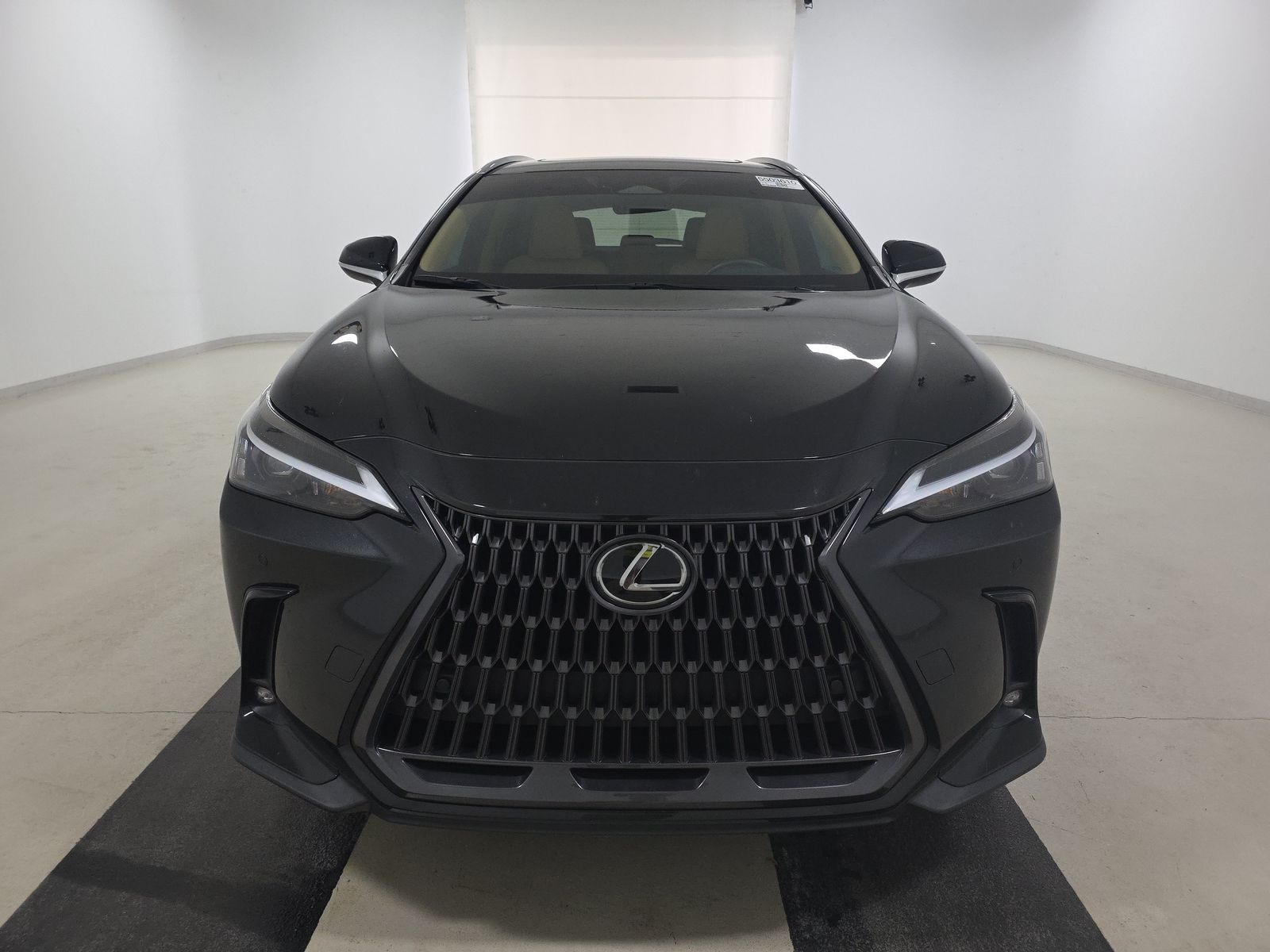 2025 Lexus NX NX 250 Premium FWD