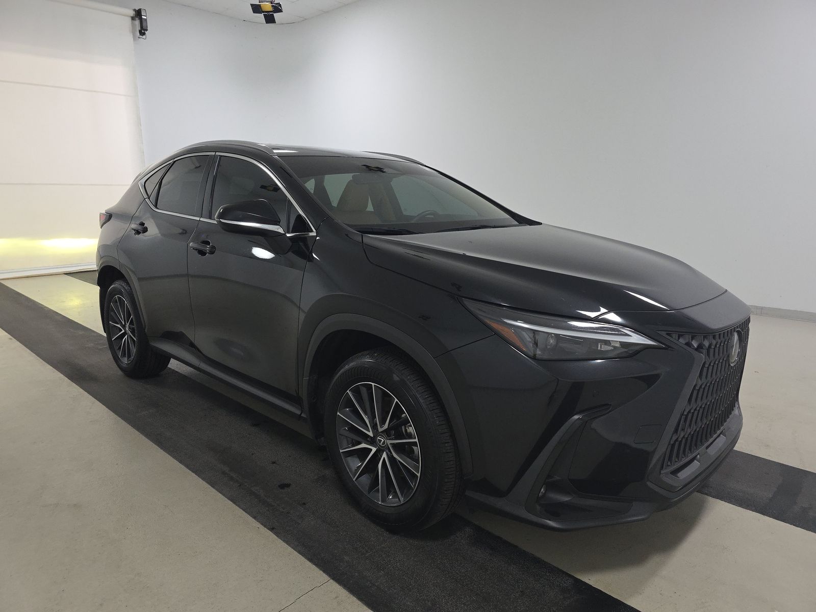 2025 Lexus NX NX 250 Premium FWD