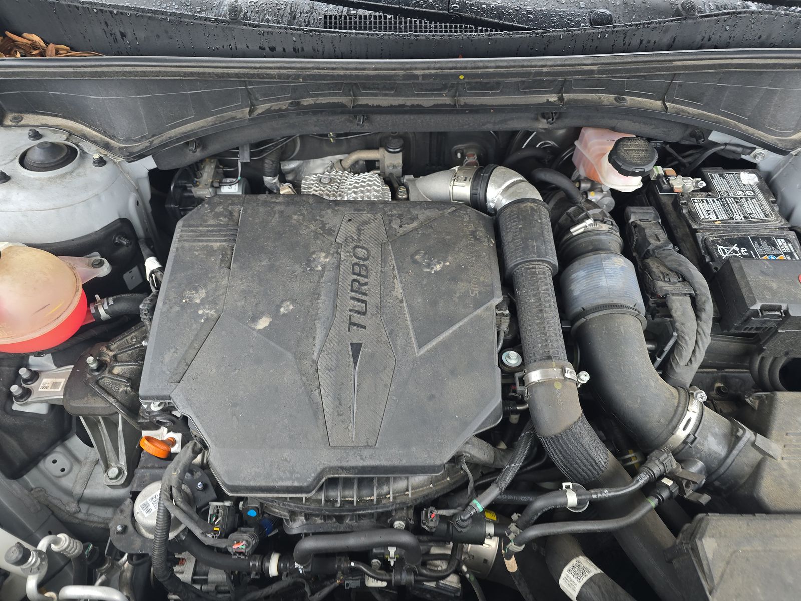 2023 Kia Sorento X-Line SX Prestige AWD