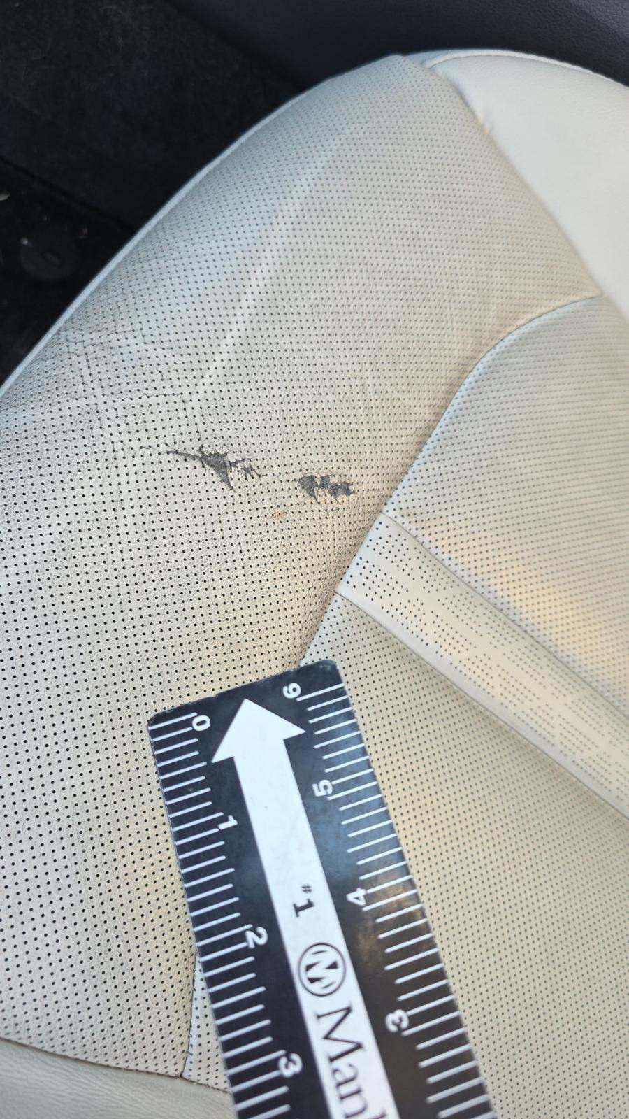 2024 Hyundai Sonata Hybrid Limited FWD