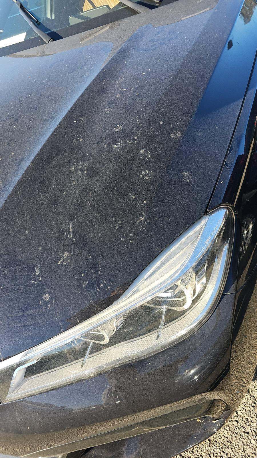 2016 BMW 7 Series 750i xDrive AWD