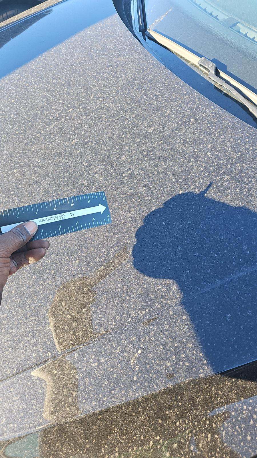 2024 Volkswagen Tiguan 2.0T SE FWD