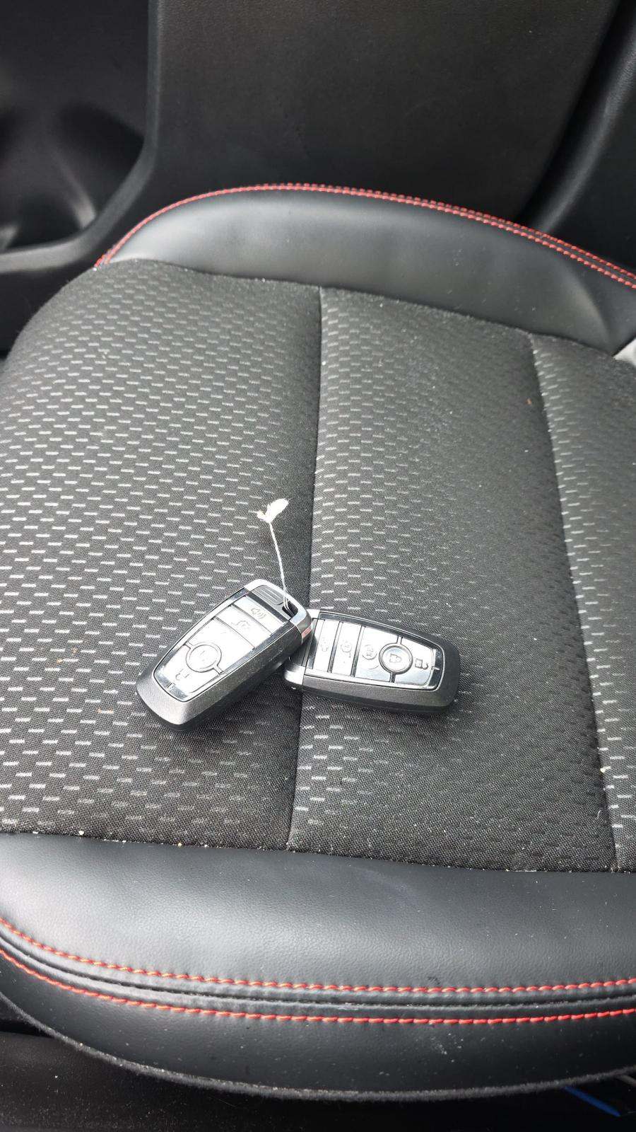 2025 Ford Escape Hybrid ST-Line Elite AWD