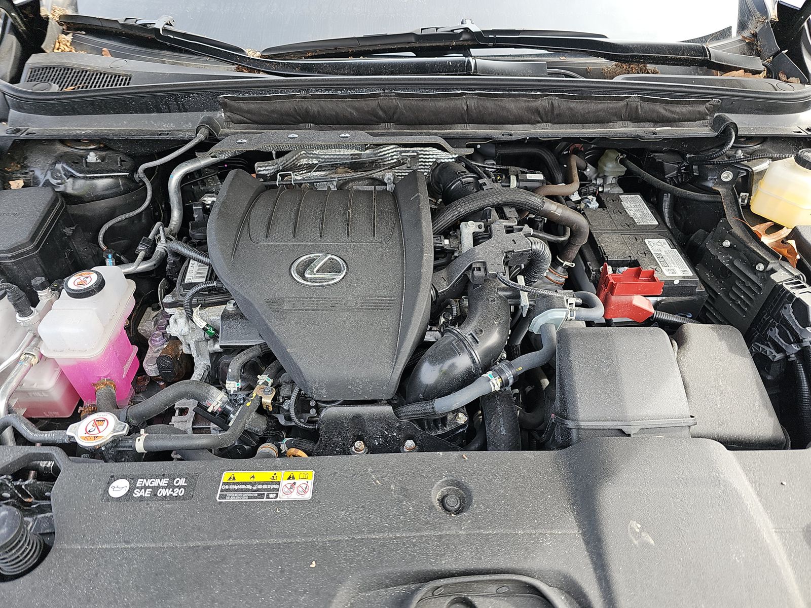 2023 Lexus RX RX 350 Premium Plus AWD