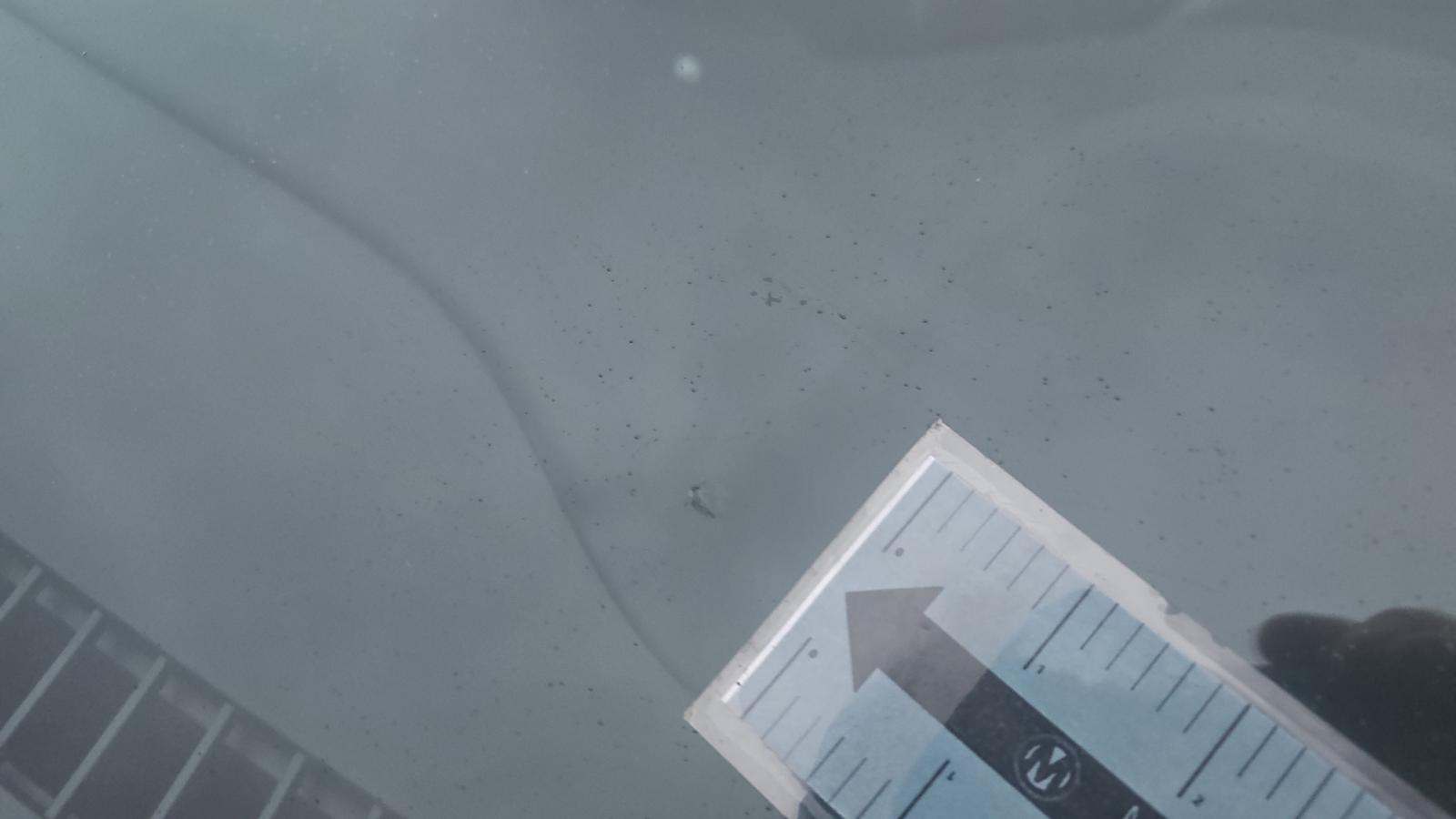 2025 Ford Escape Hybrid ST-Line Elite AWD