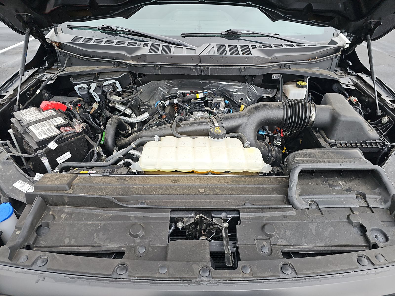 2023 Ford F-150 XLT AWD