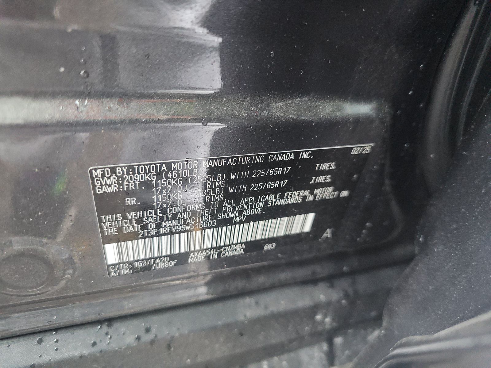 2025 Toyota RAV4 XLE AWD