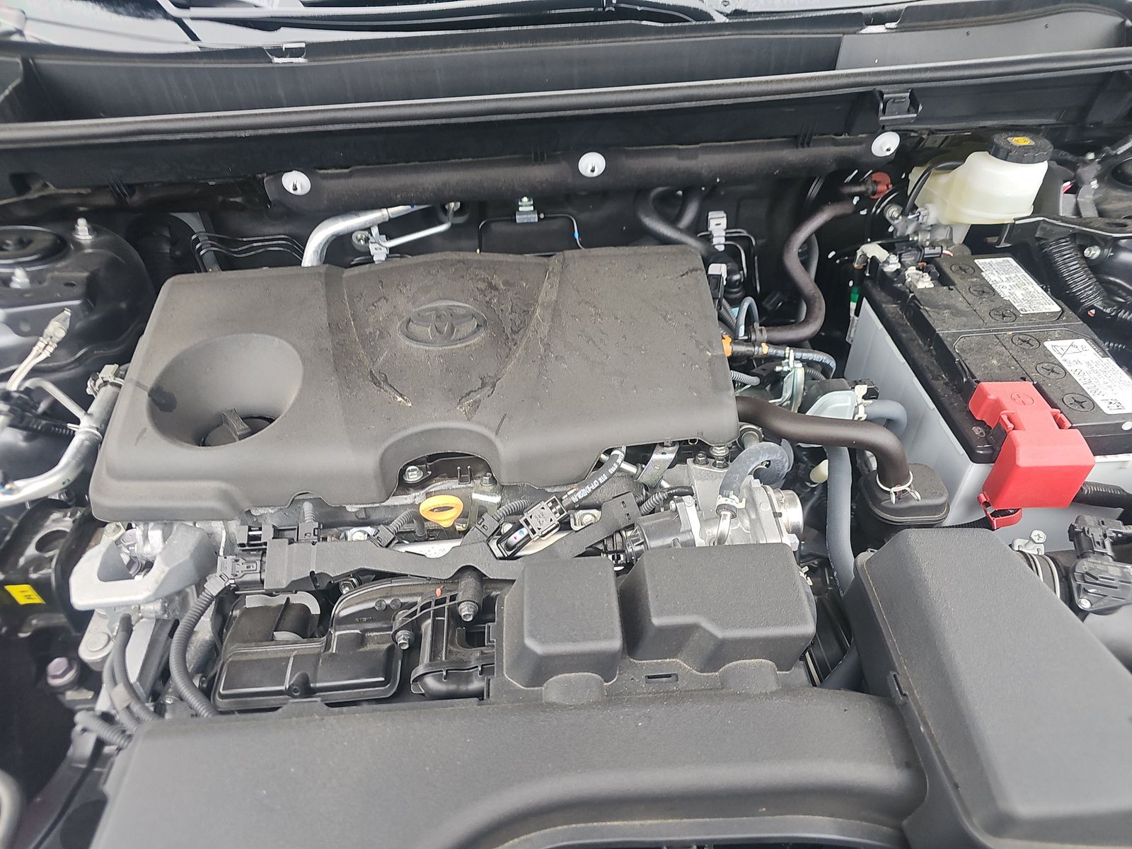 2025 Toyota RAV4 XLE AWD