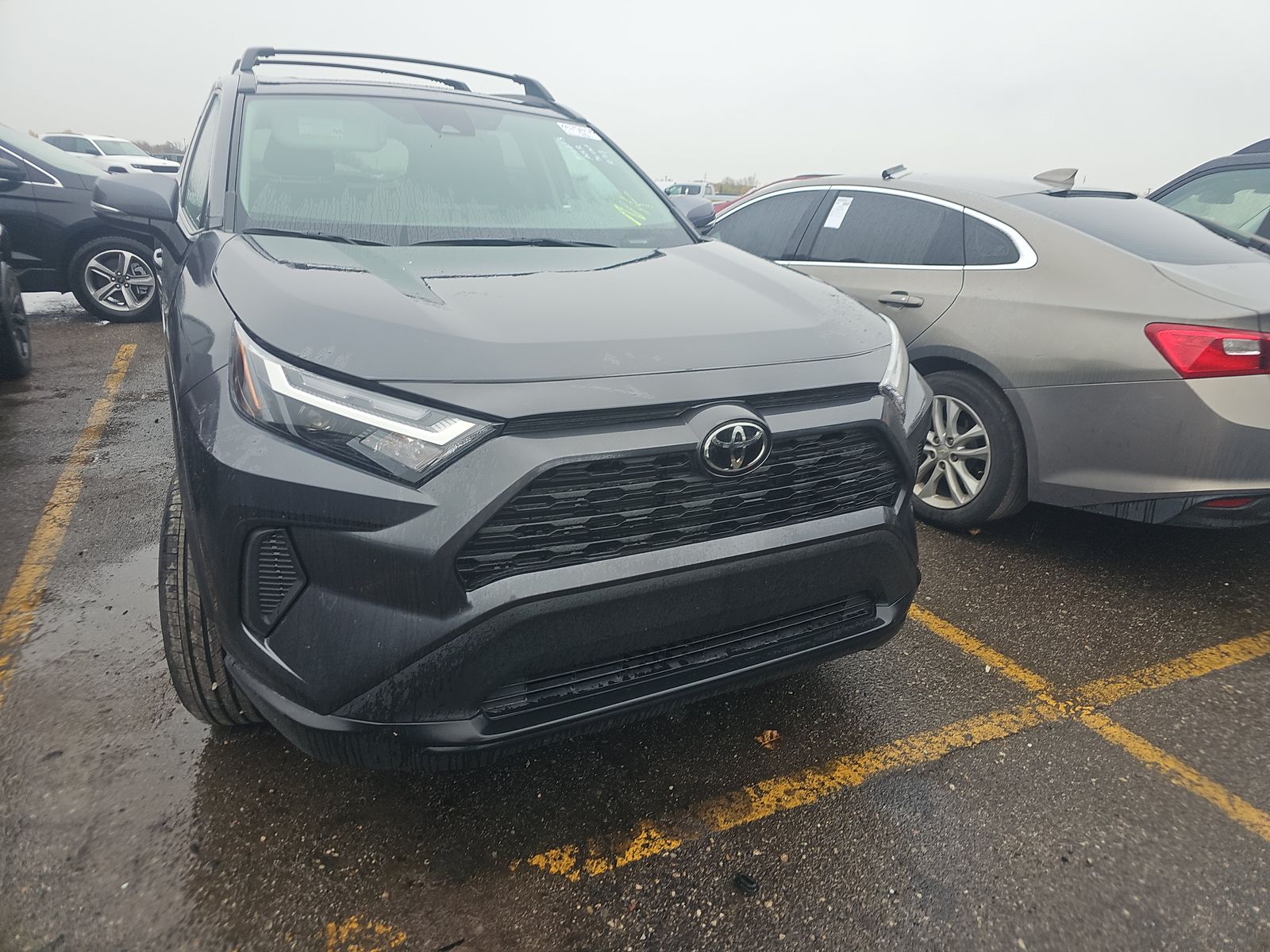 2025 Toyota RAV4 XLE AWD