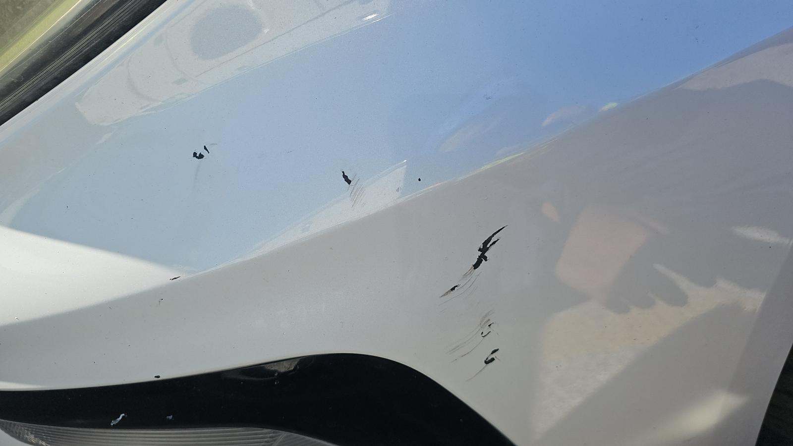 2019 Kia Optima S FWD