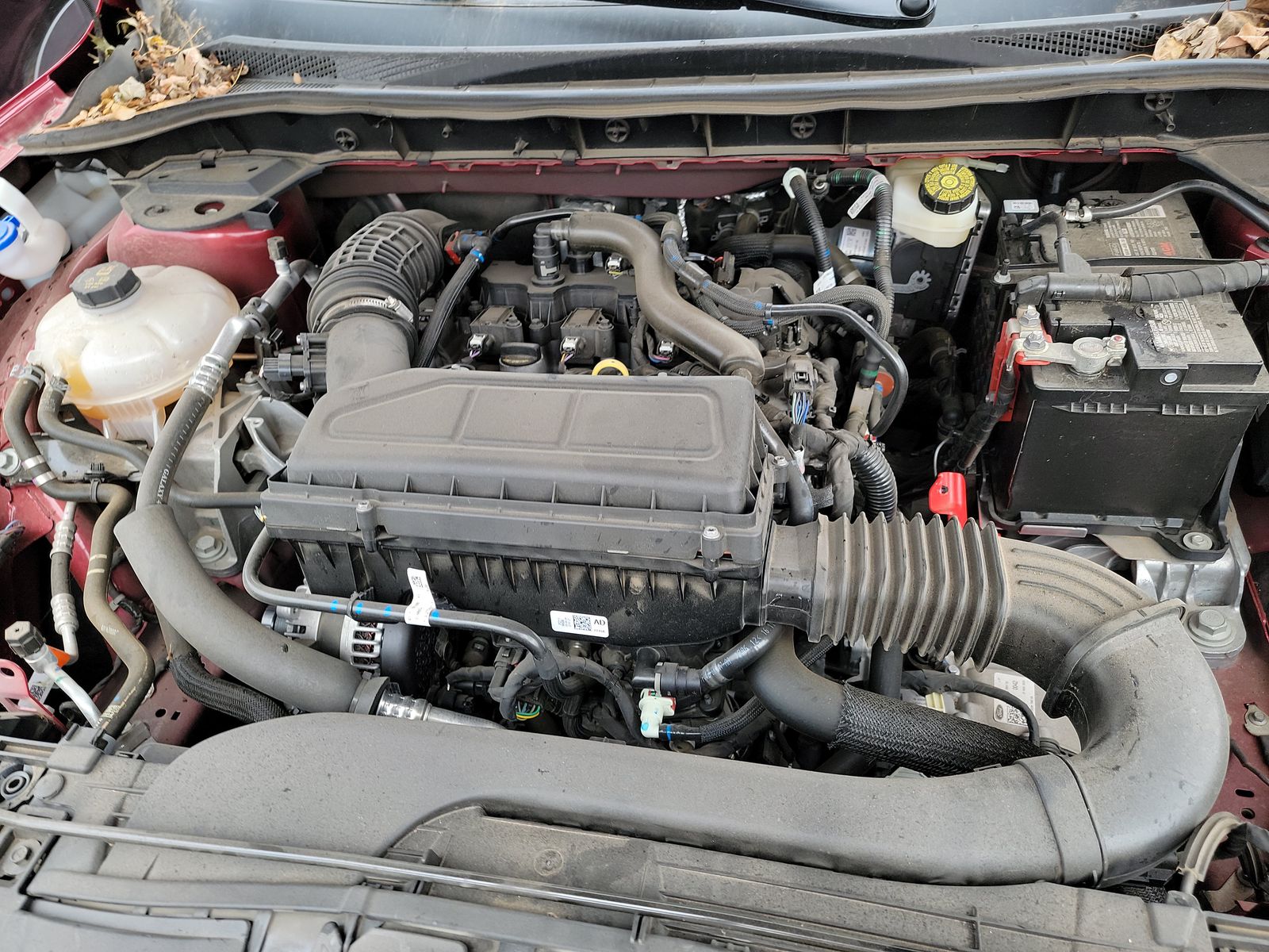 2024 Ford Escape ST-Line AWD