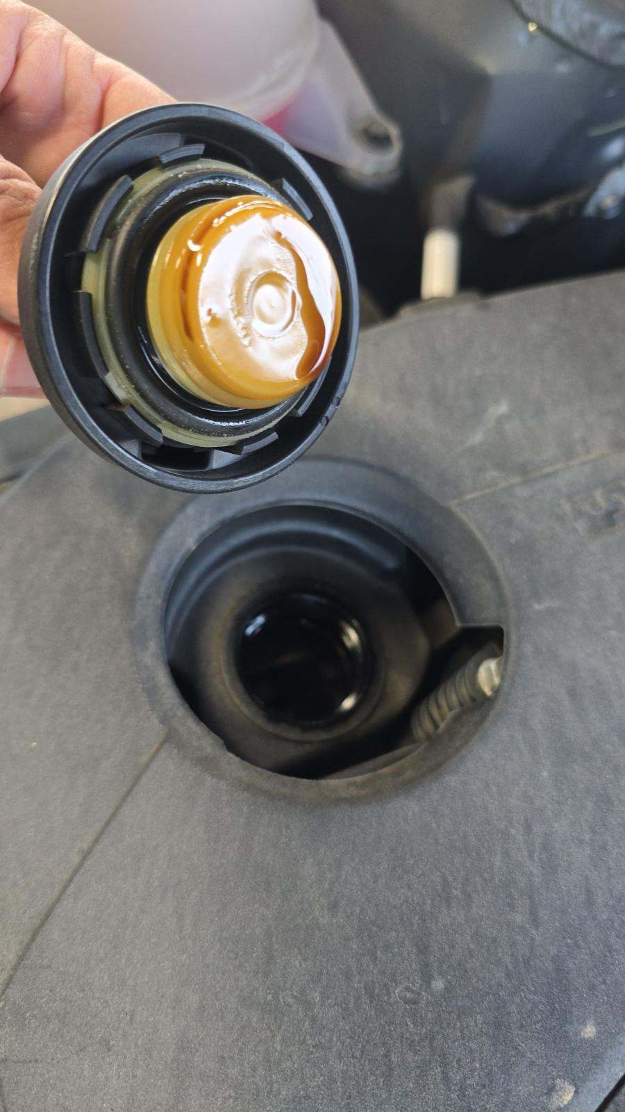 2023 Hyundai Tucson SEL FWD