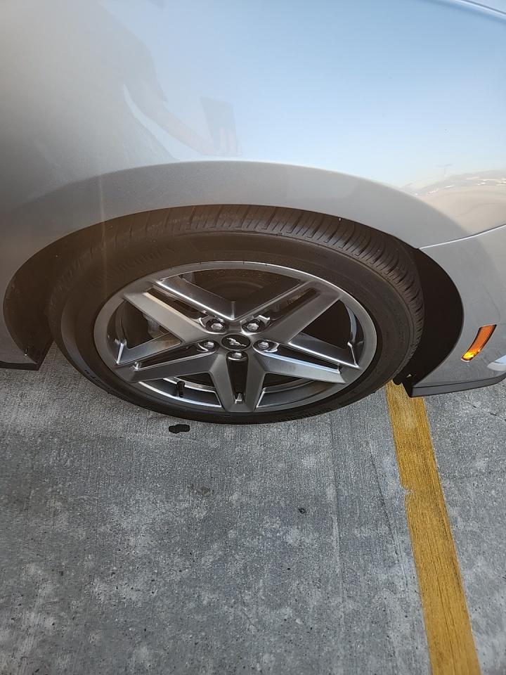 2024 Ford Mustang EcoBoost RWD