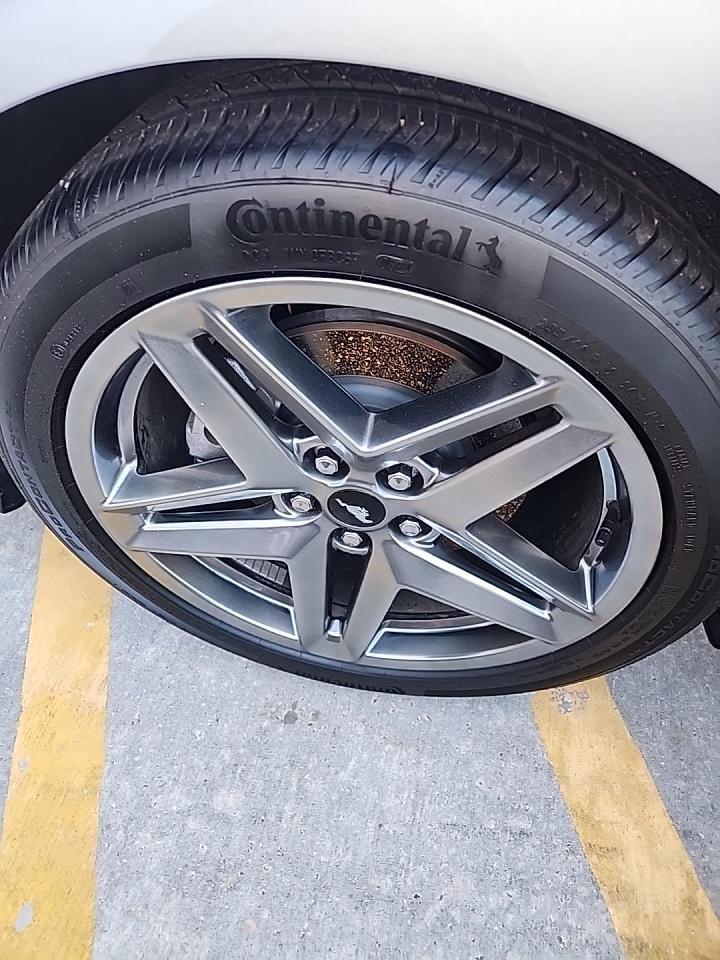 2024 Ford Mustang EcoBoost RWD