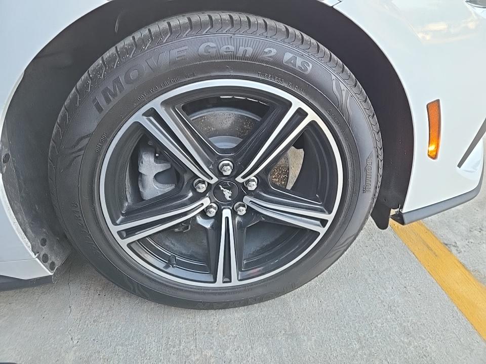 2024 Ford Mustang EcoBoost RWD