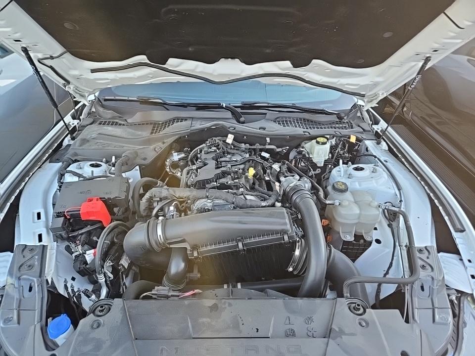 2024 Ford Mustang EcoBoost RWD