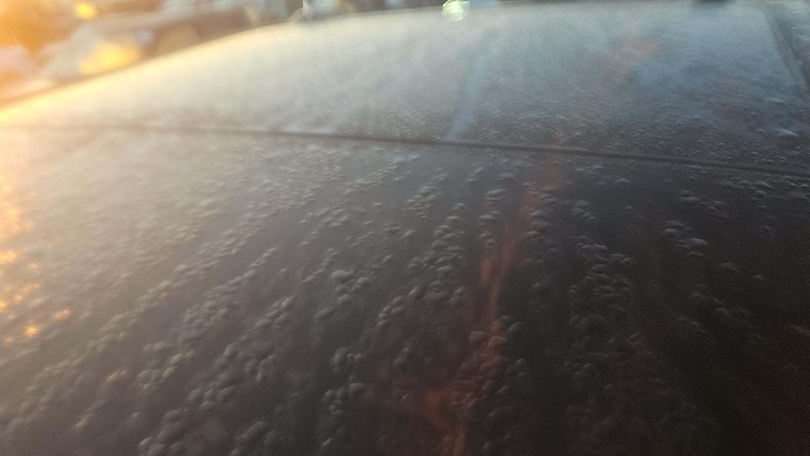 2024 Ford F-150 Hybrid XLT AWD