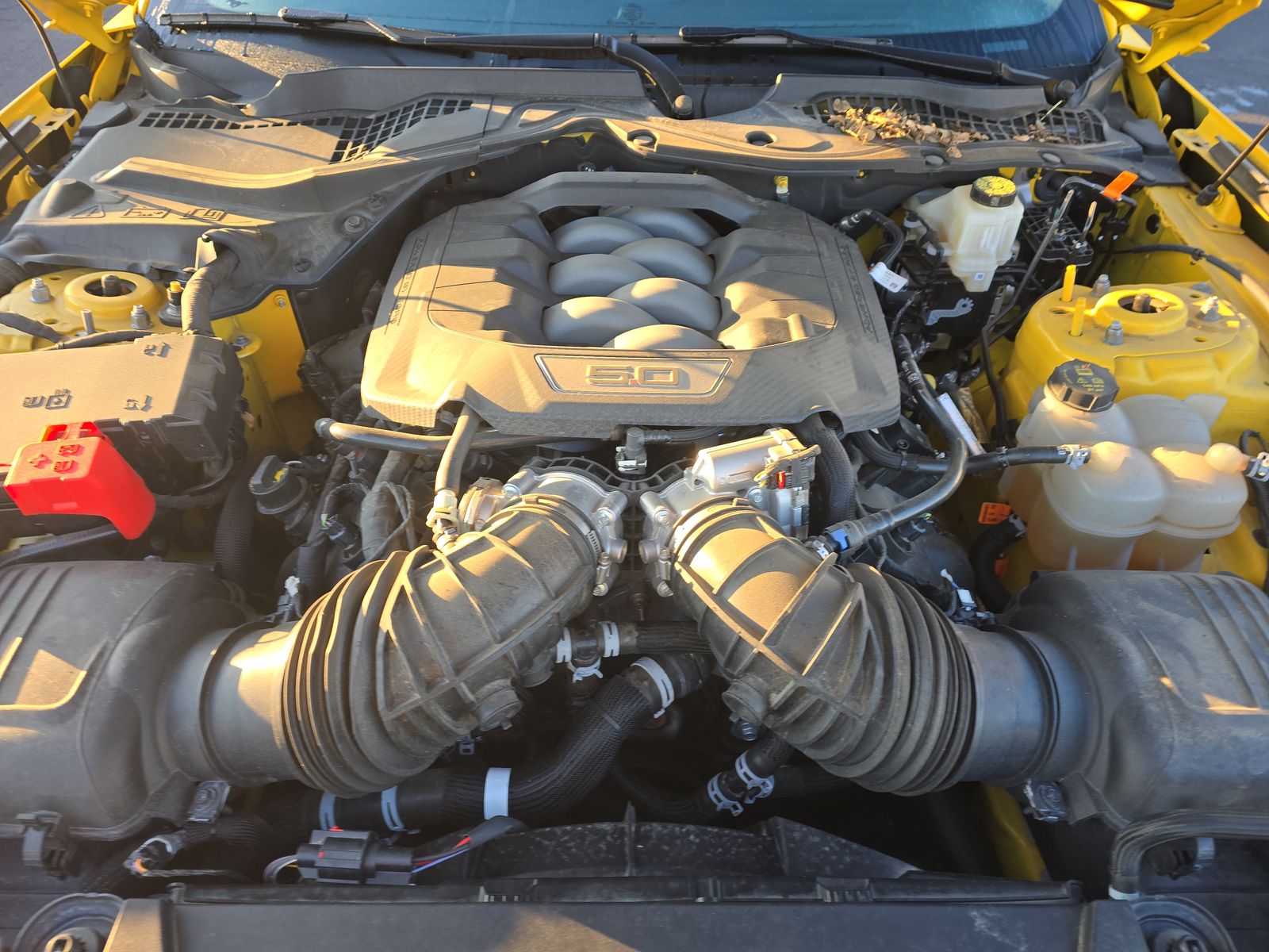 2024 Ford Mustang GT Premium RWD