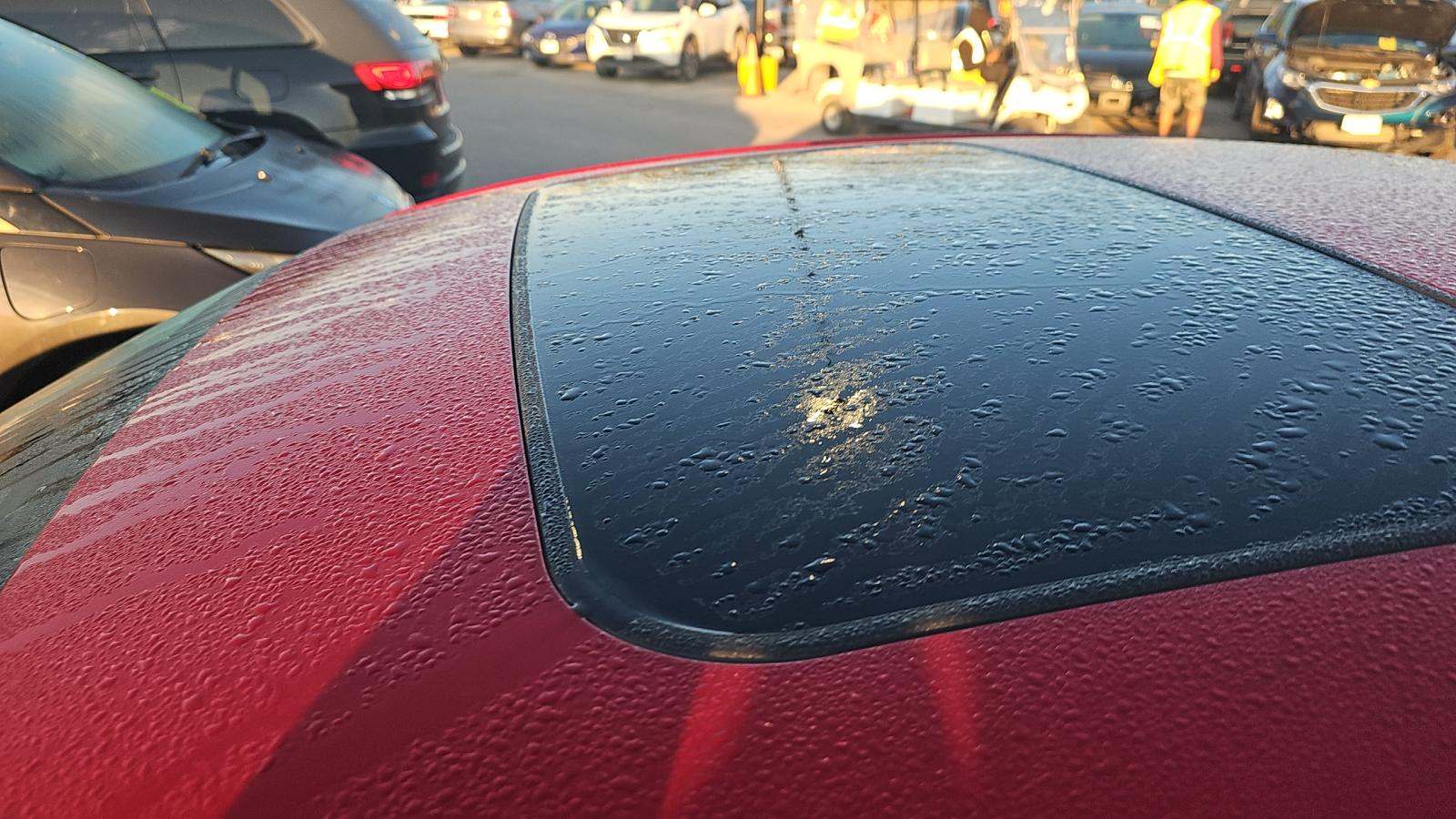 2023 Lexus IS IS 350 F SPORT RWD