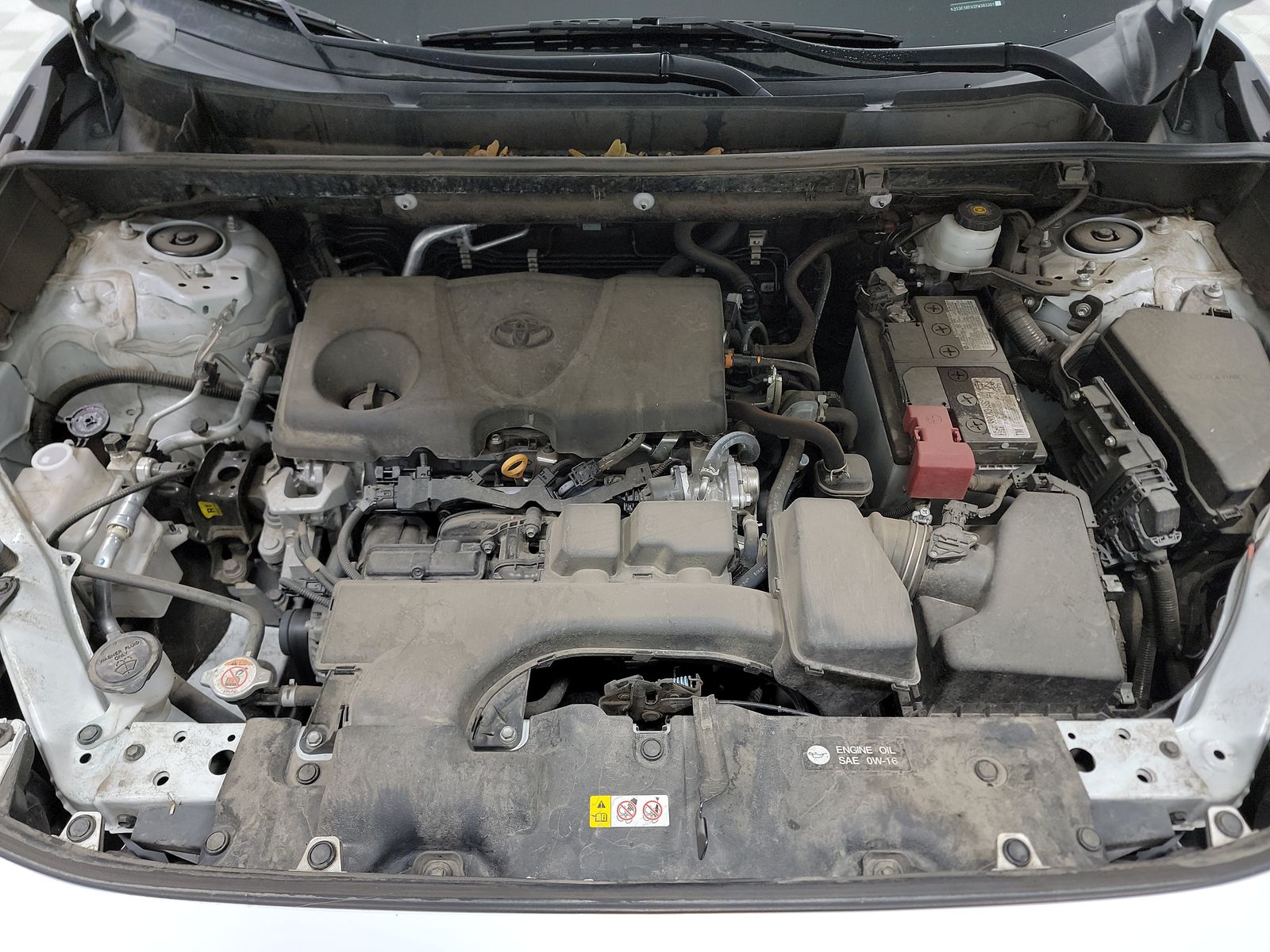 2023 Toyota RAV4 LE AWD