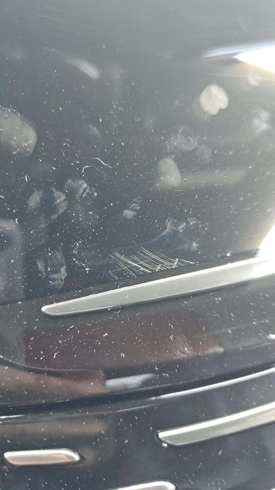 2020 Cadillac Escalade Platinum RWD