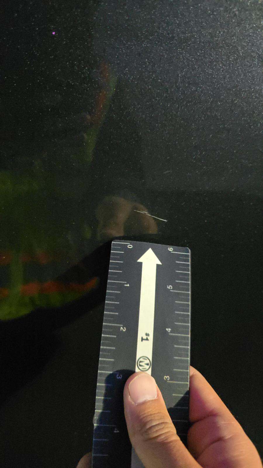 2024 Kia Sportage EX FWD