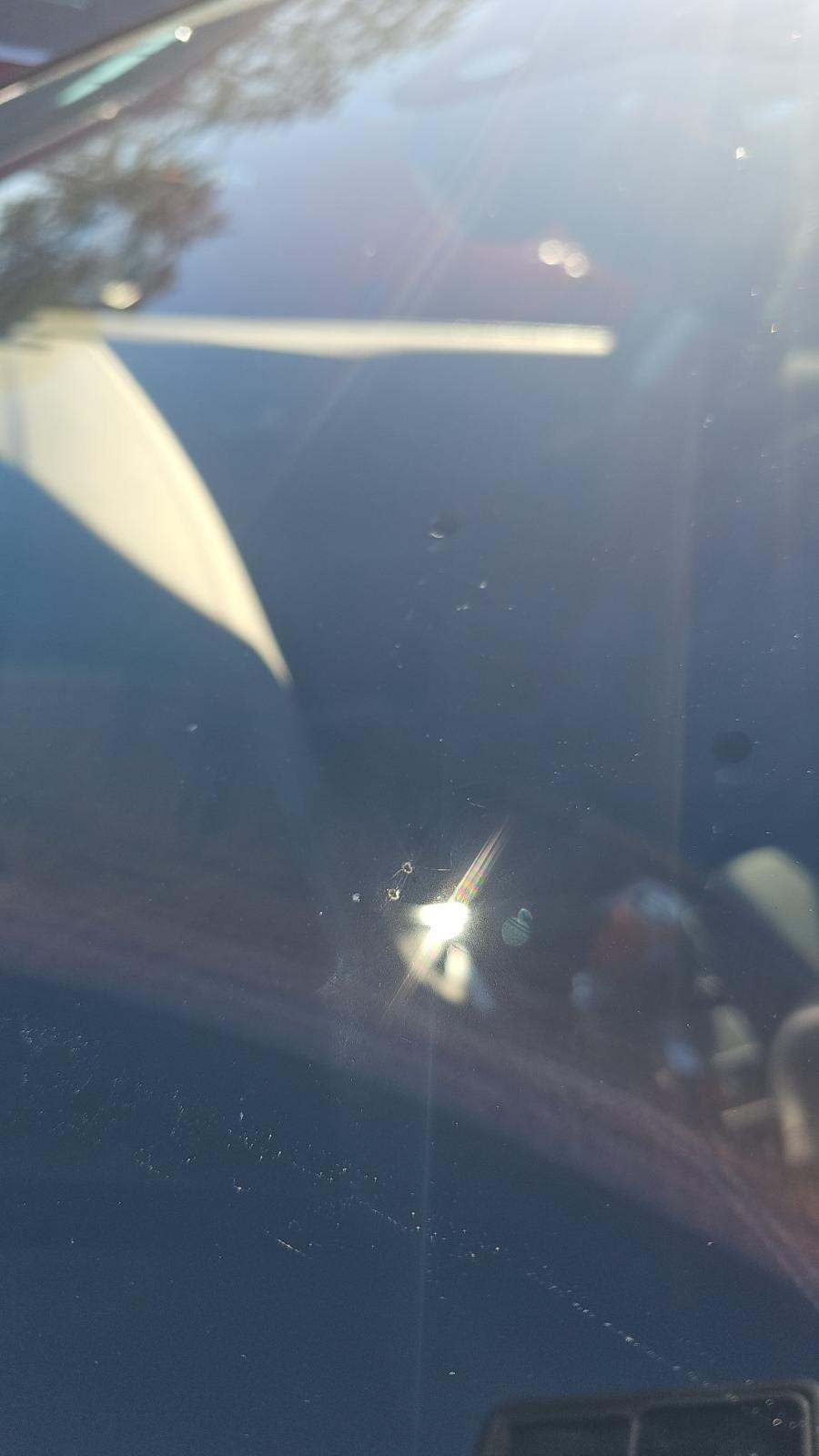 2024 Audi Q7 Premium Plus AWD