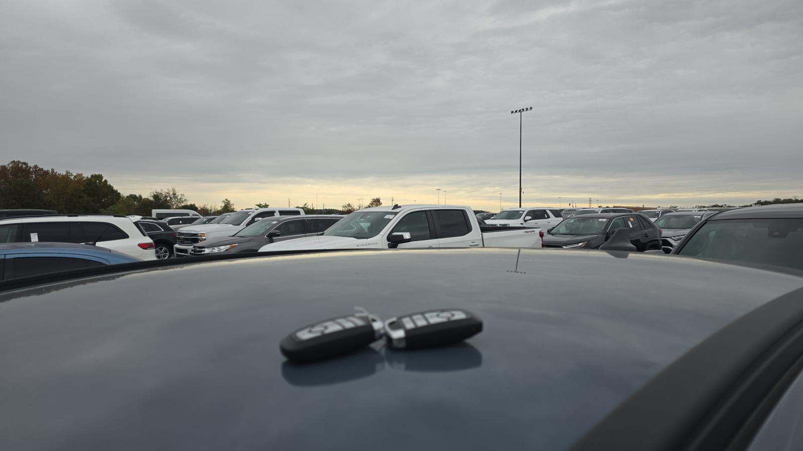 2025 Ford Escape Hybrid ST-Line FWD