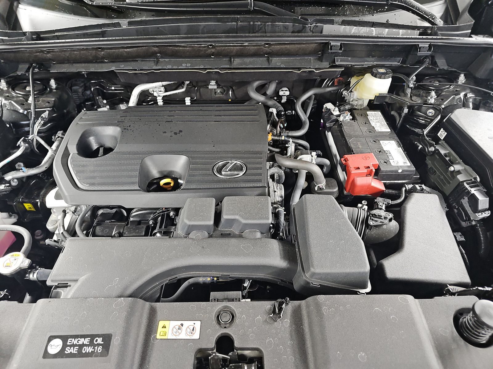 2025 Lexus NX NX 250 Premium AWD