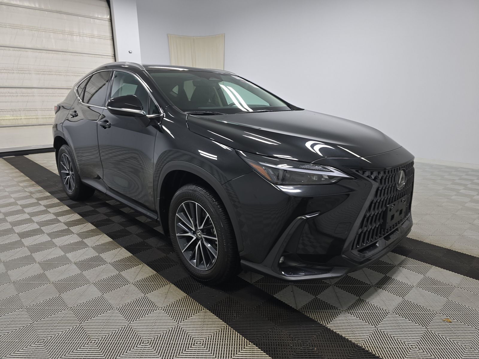 2025 Lexus NX NX 250 Premium AWD