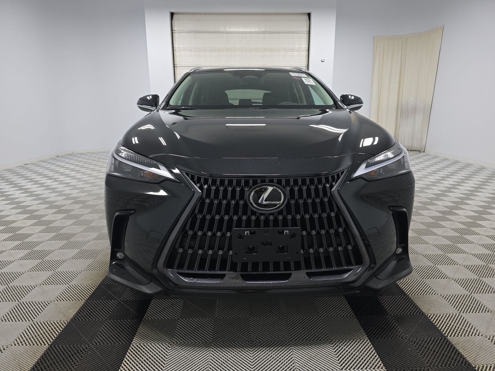 2025 Lexus NX NX 250 Premium AWD