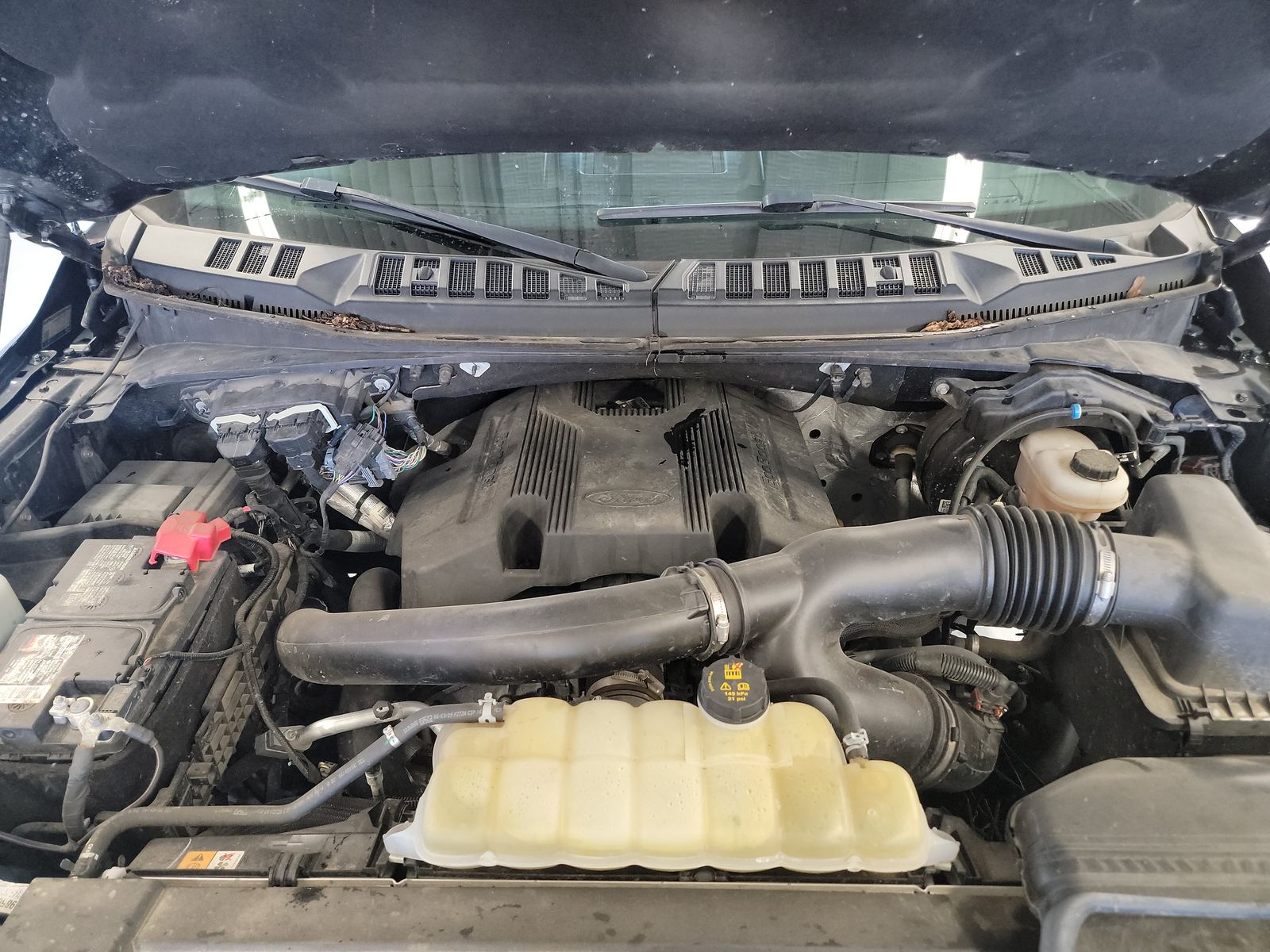 2019 Ford F-150 XLT AWD