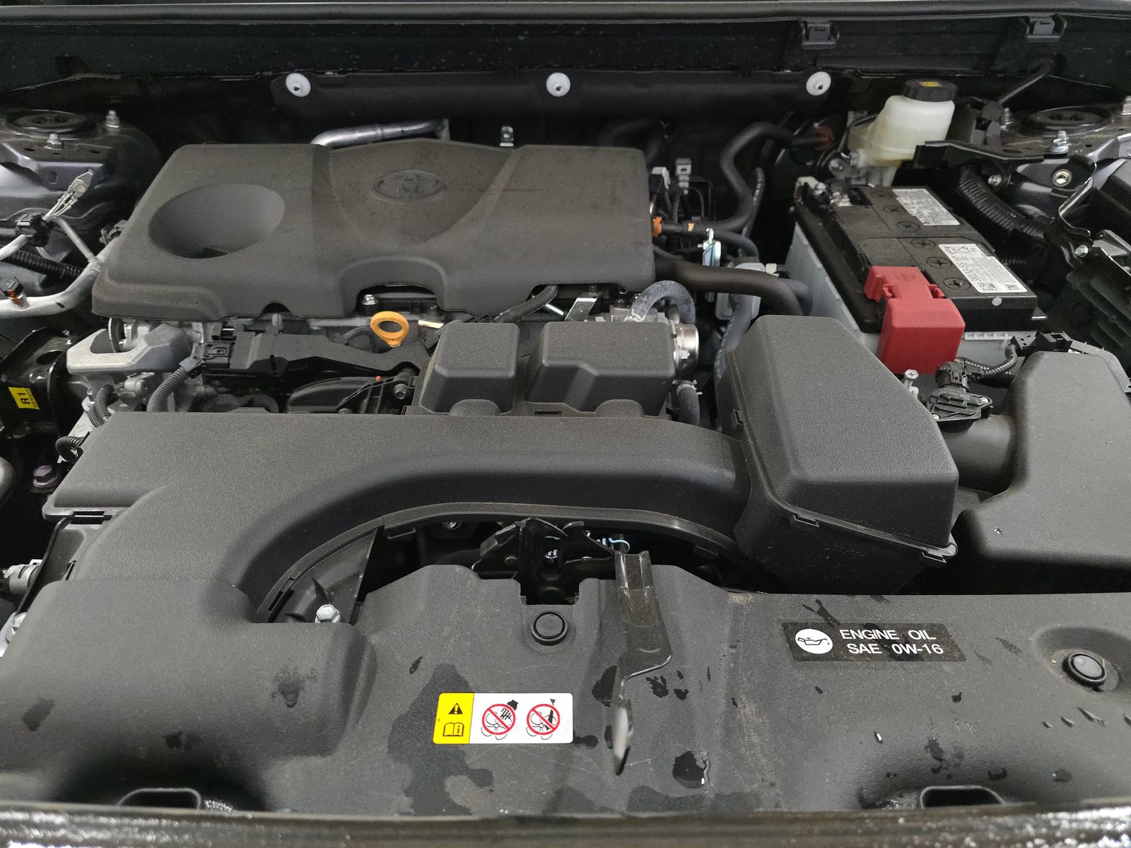 2025 Toyota RAV4 LE AWD