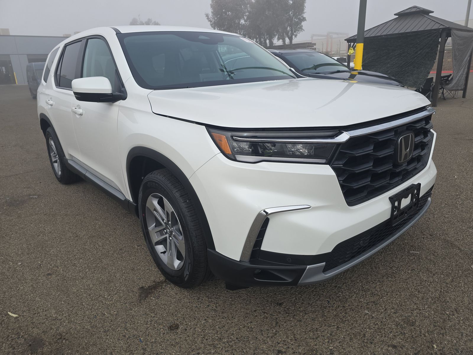 2025 Honda Pilot EX-L FWD