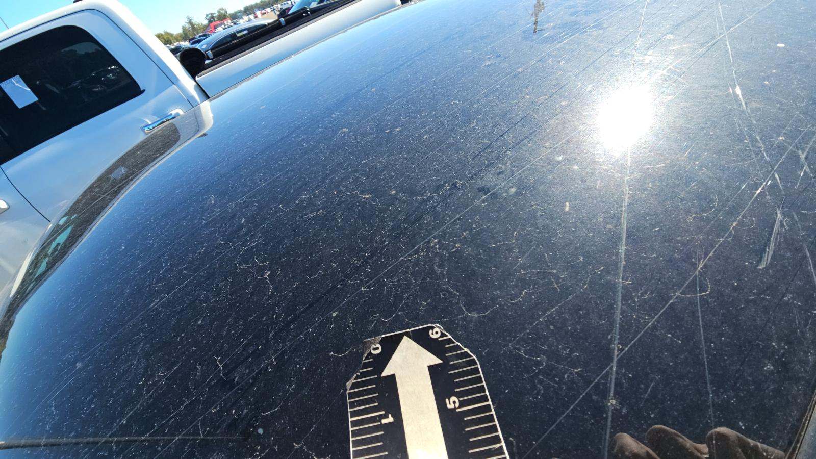 2023 Dodge Challenger R/T RWD