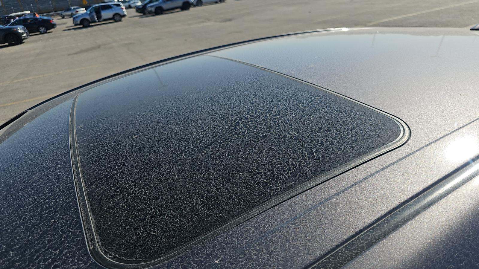 2023 Toyota Camry Hybrid XLE FWD