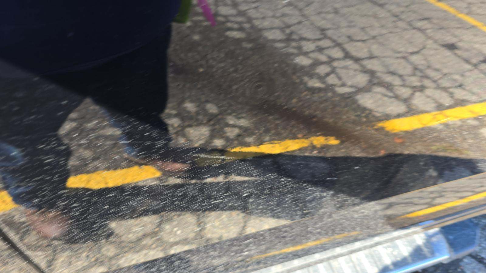 2024 Ford F-150 XLT AWD