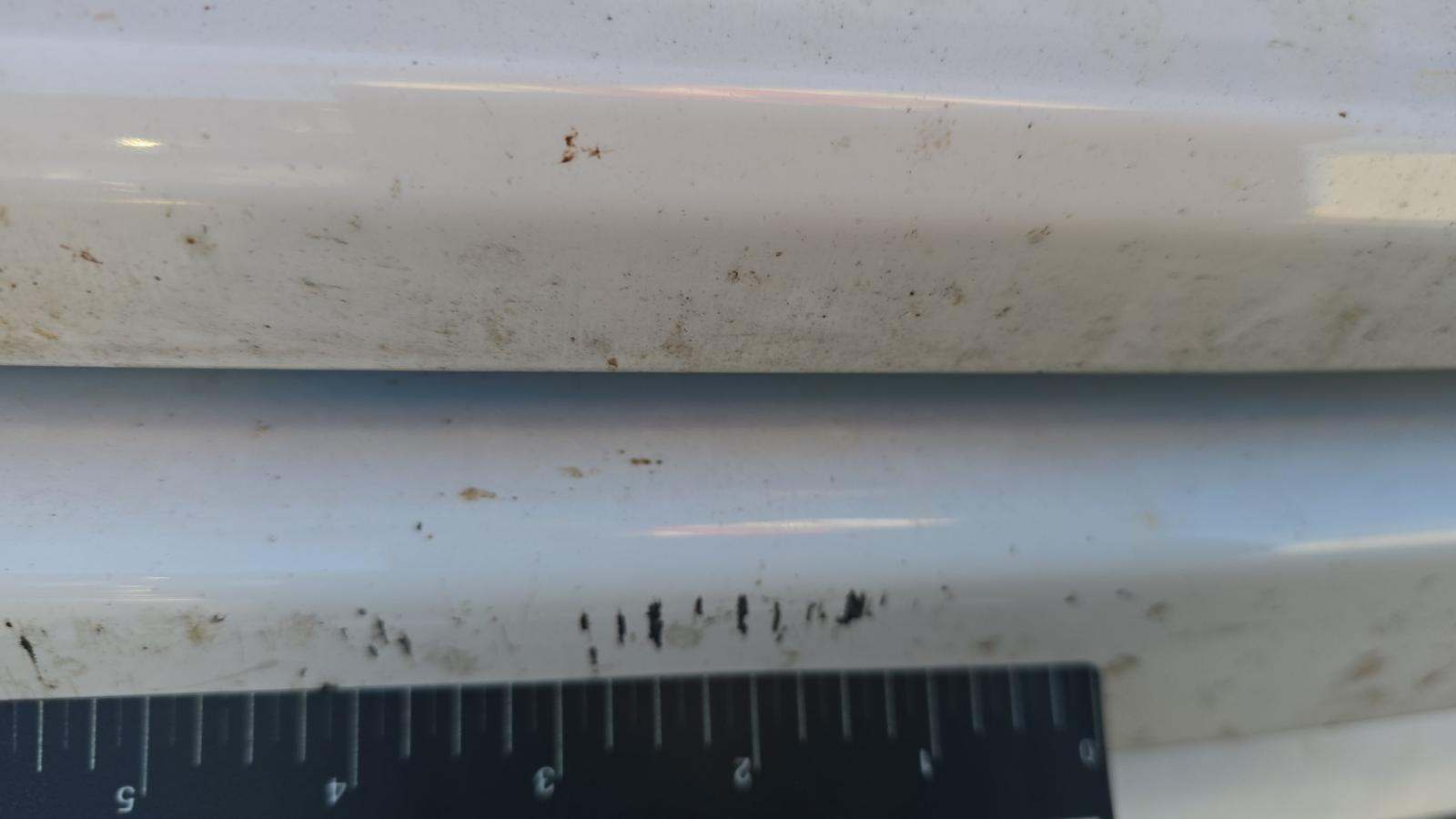 2022 Ford Ranger XLT AWD