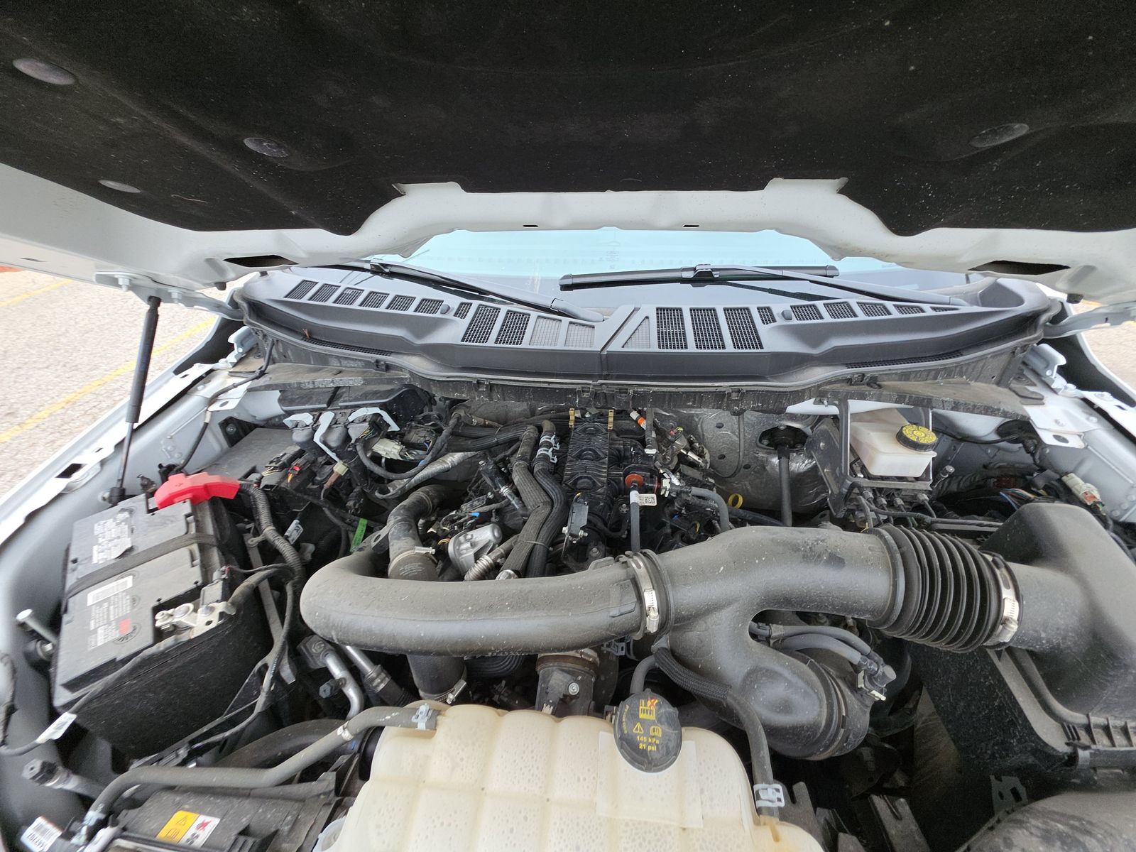 2024 Ford F-150 XLT AWD