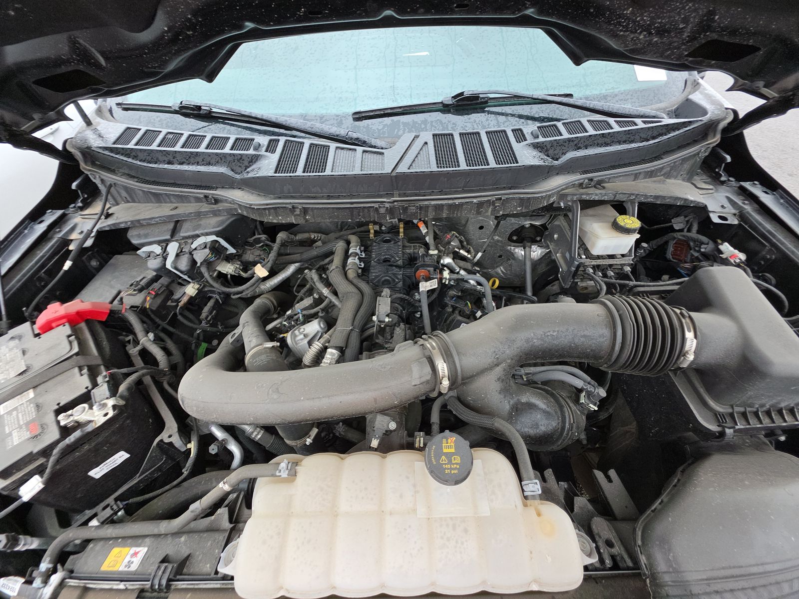 2024 Ford F-150 XLT AWD