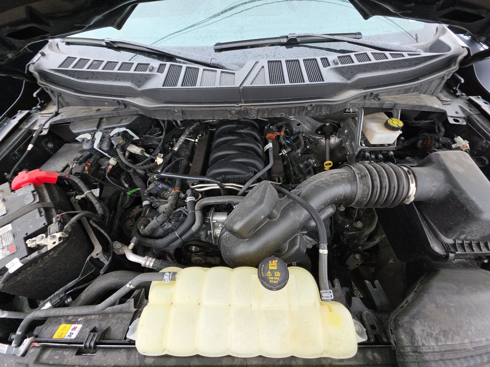 2024 Ford F-150 XLT AWD