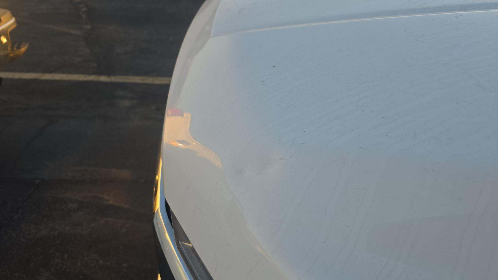 2019 Ford F-150 XLT AWD