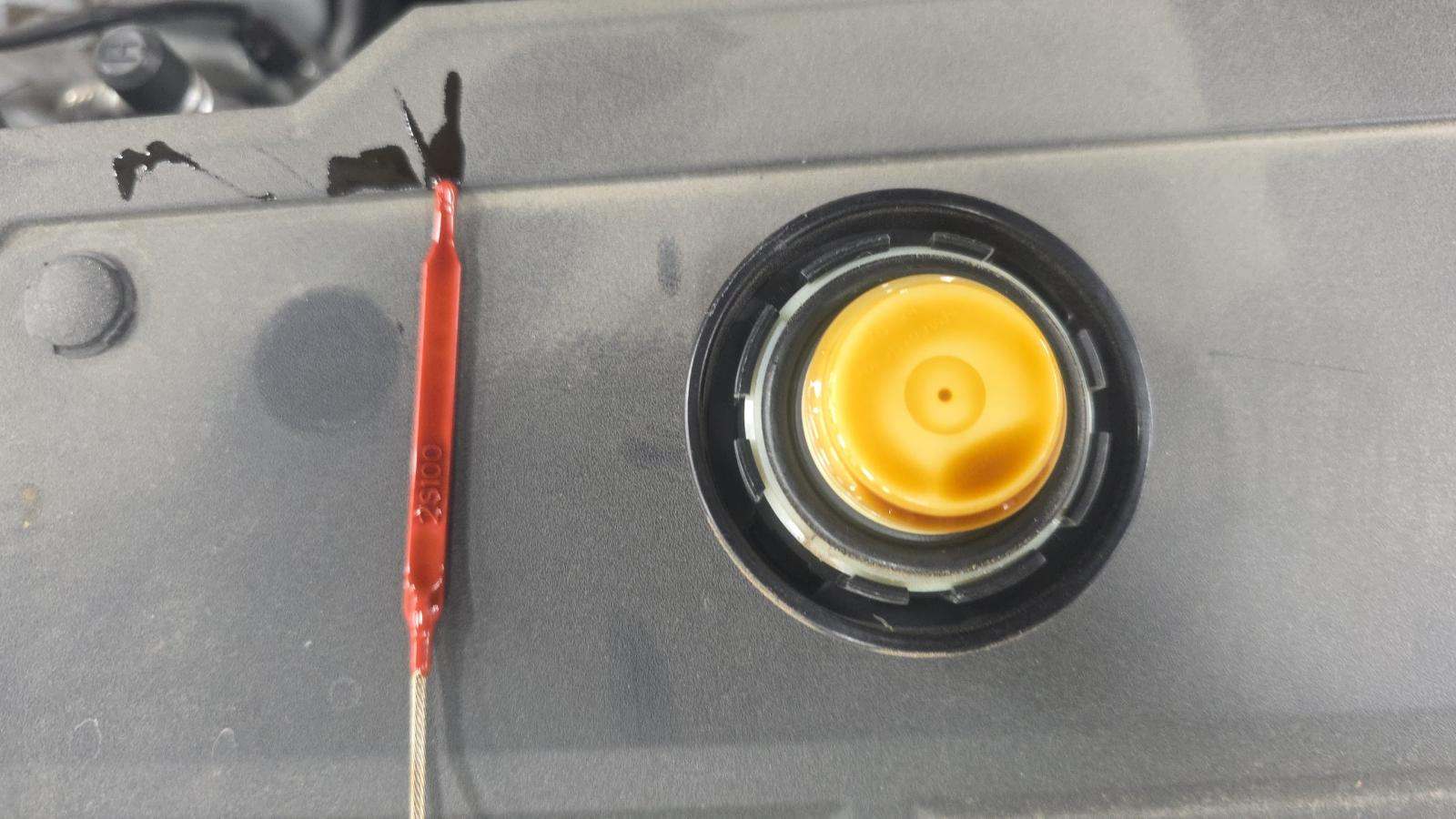 2025 Hyundai Tucson SEL FWD