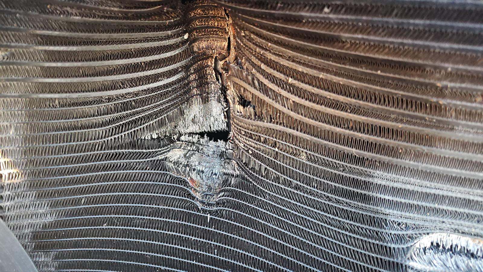 2022 Dodge Charger R/T RWD