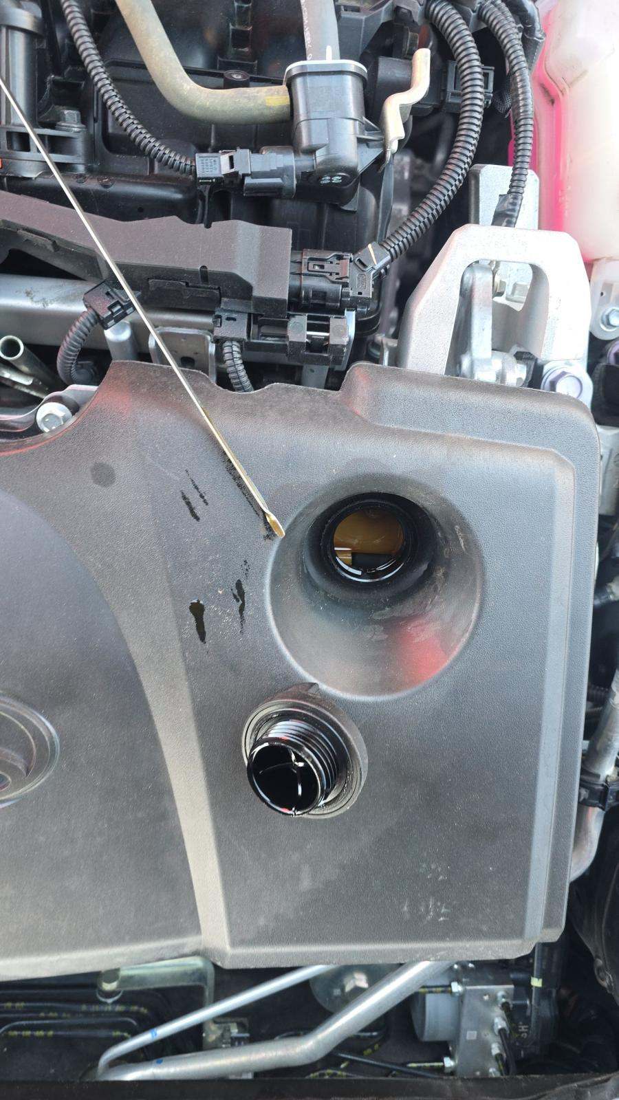 2021 Toyota Camry Hybrid LE FWD