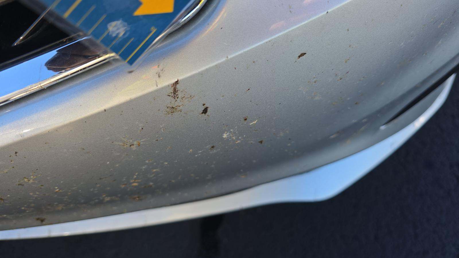 2019 Kia Optima EX FWD