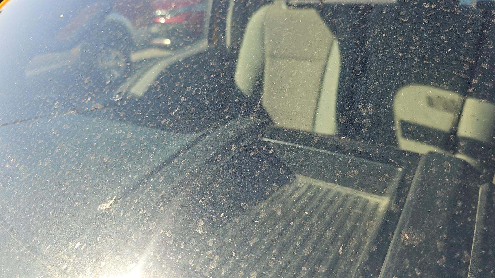 2020 Ford F-150 XL RWD