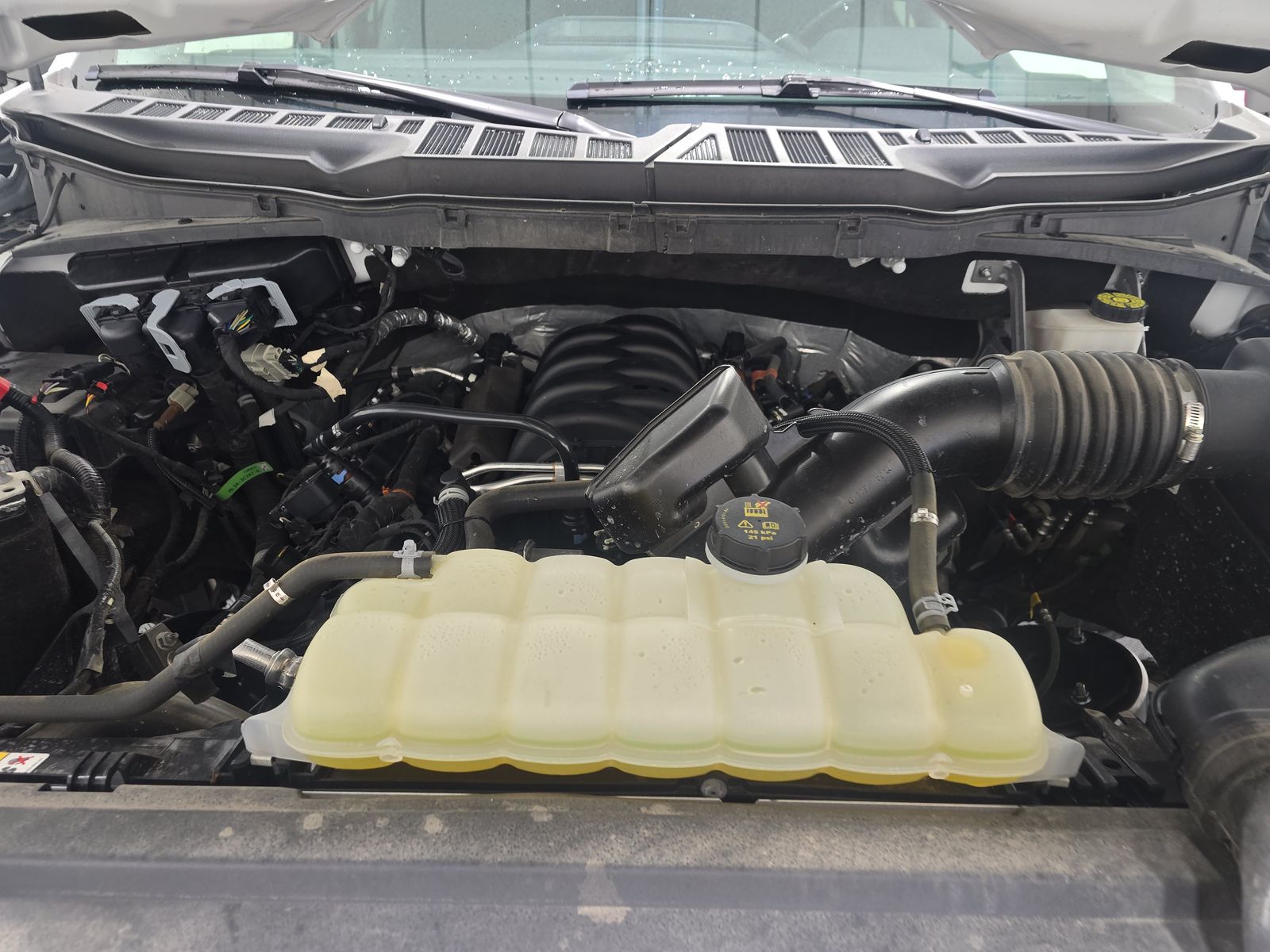 2024 Ford F-150 XLT AWD